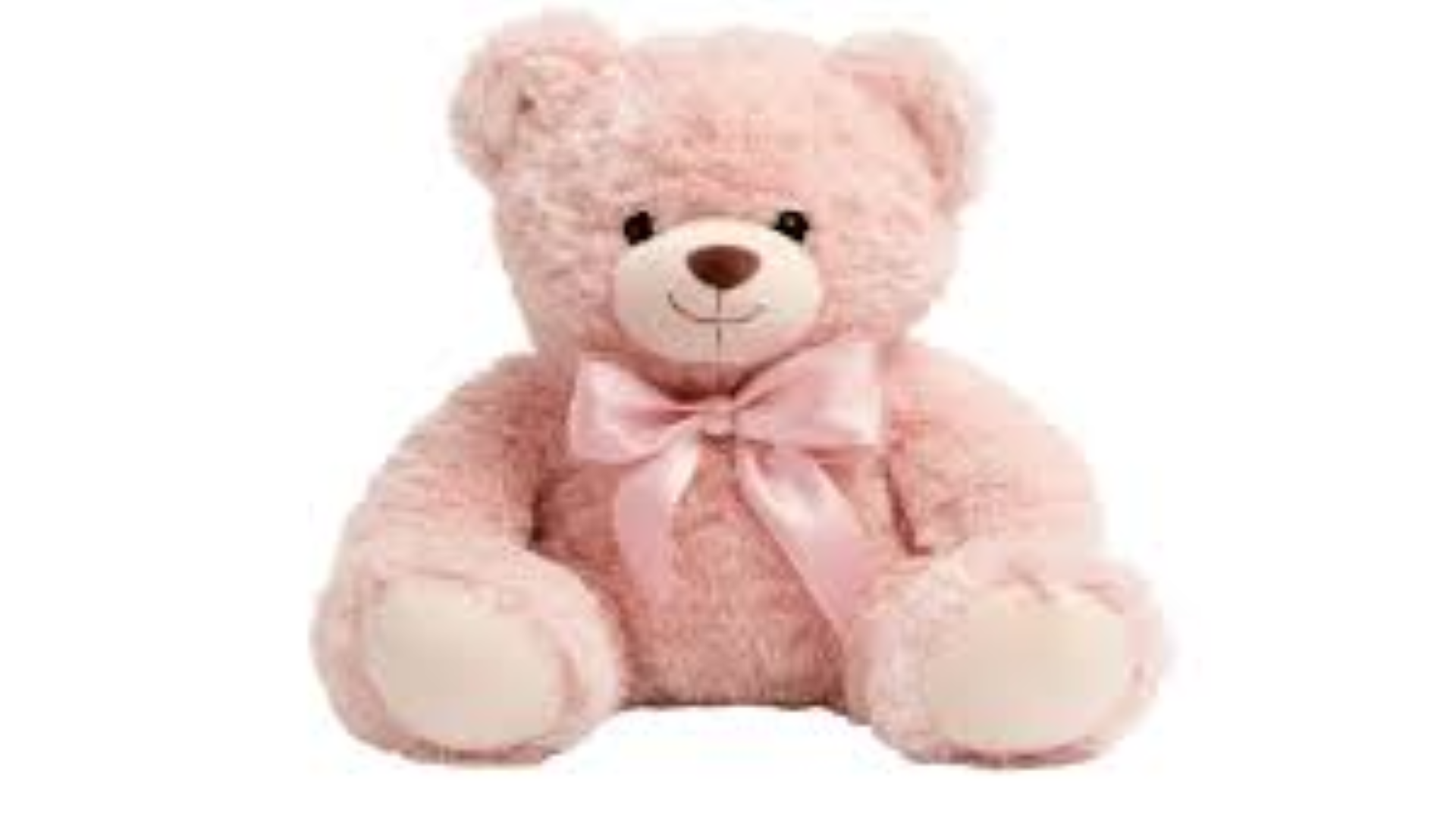 SMALL TEDDY W DIAMOND BOW N ROSE IN 26CM TUBE